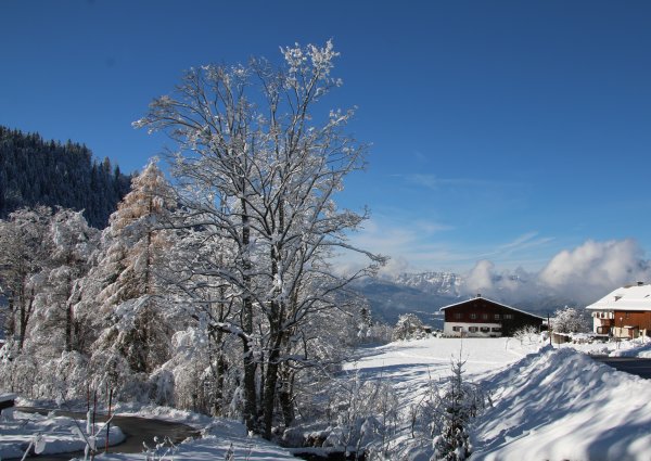 Wintermärchen bayerisch untersberg  im Schnee