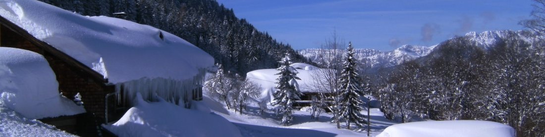 Paradies in den Bergen - Thannlehen im Berchtesgadener Land - Natur pur